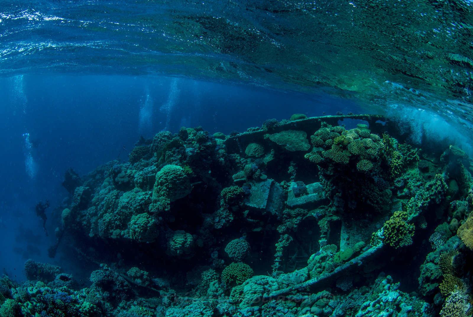 Epave du Tientsin Abu Galawa Kebir - Fury Shoals