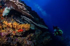 Ambiance Martine et mérou