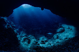 L'arche, un ange passe...
