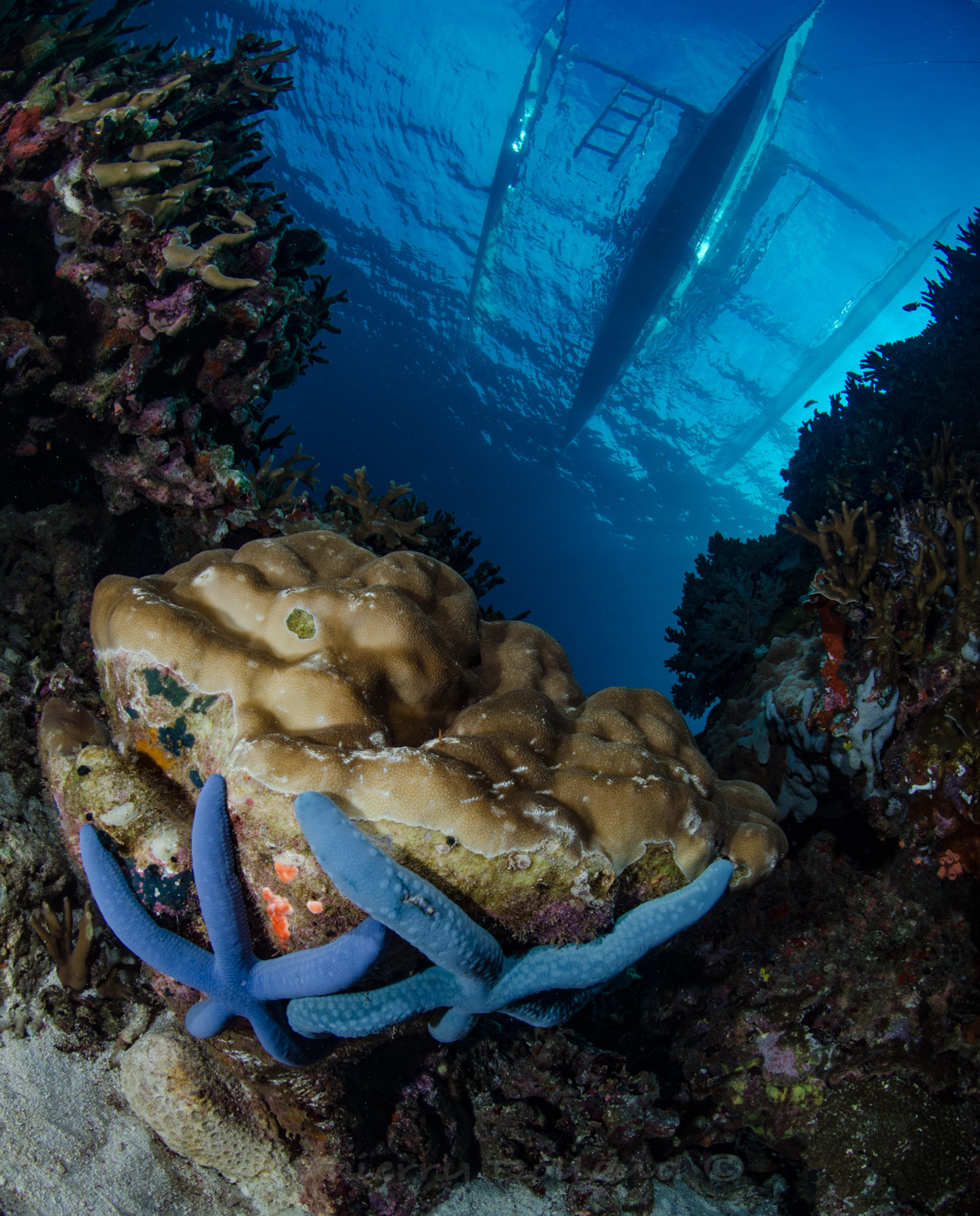 Etoiles dans le ciel