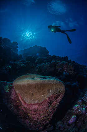 Essais ambiance à haute vitesse syncho-flash 1 8000è