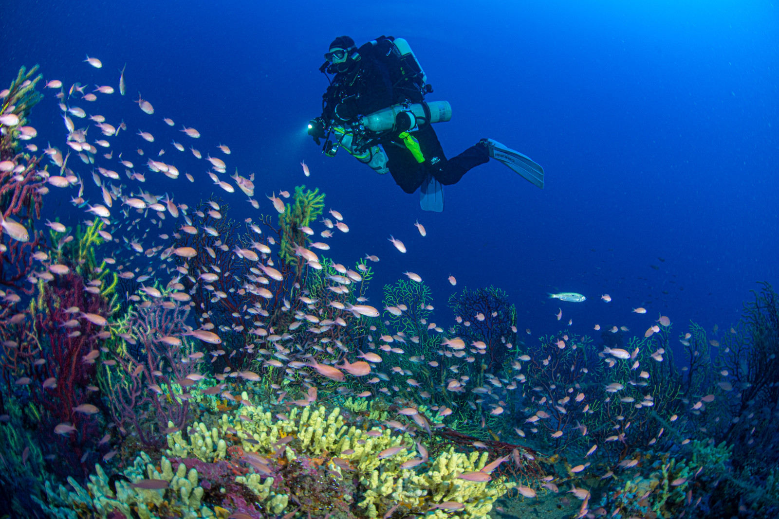 Plongée profonde La Ciotat