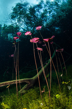 Car wash - mise à l'eau