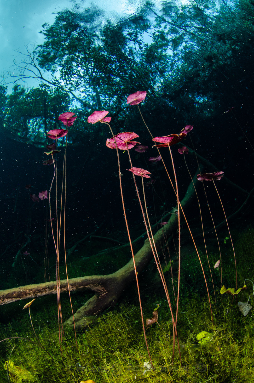 Car wash - mise à l'eau