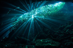 Lumière dans les Cenotes